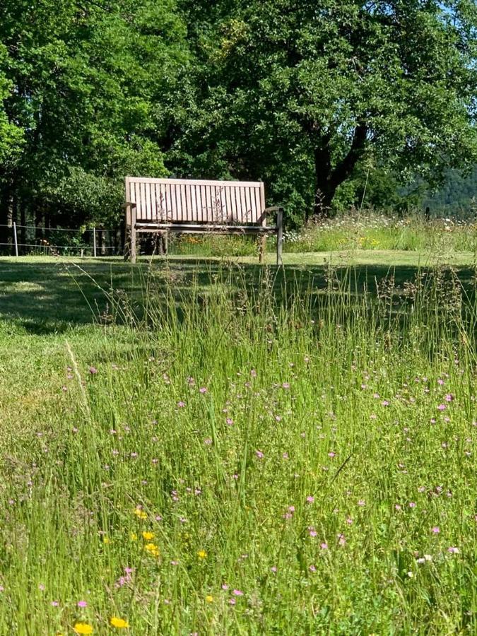 Apartamento Urlaub Mit Hund Auf Dem Bauernhof Hofswald Euscheid Exterior foto