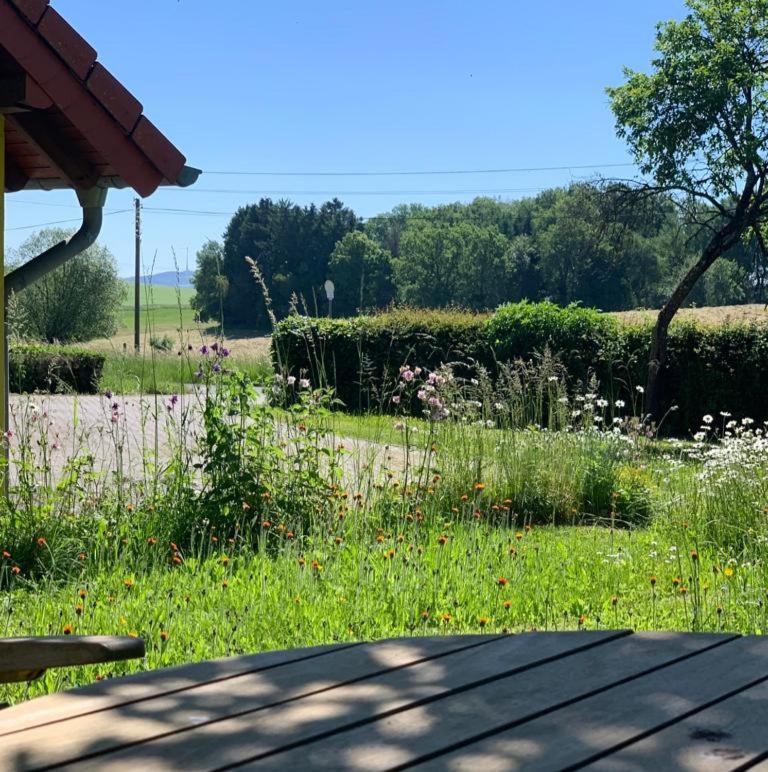 Apartamento Urlaub Mit Hund Auf Dem Bauernhof Hofswald Euscheid Exterior foto