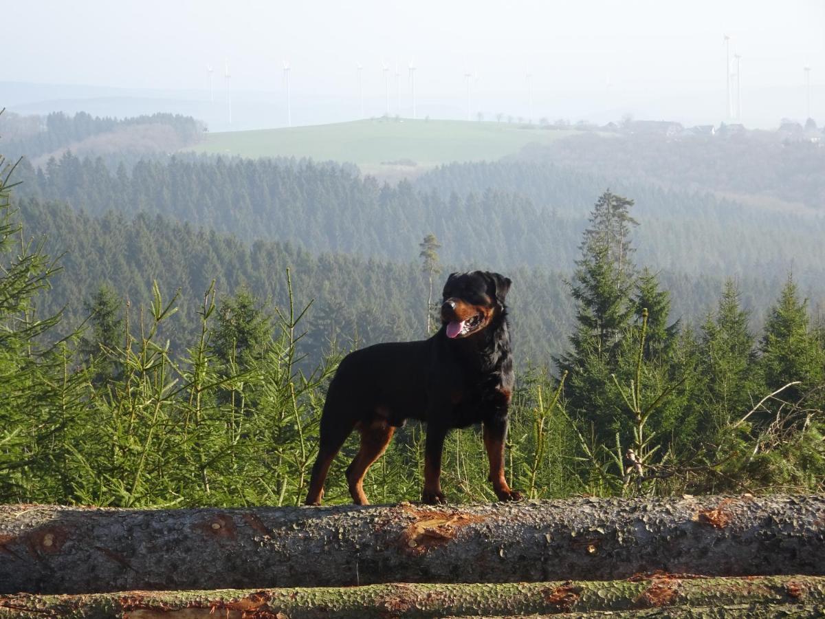 Apartamento Urlaub Mit Hund Auf Dem Bauernhof Hofswald Euscheid Exterior foto